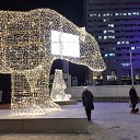 ���� �������, ������ - ��������� 3 ������ 2023 � ������ ���� ����������