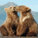 ���� �����, �����, 57 ��� - ��������� 23 ������� 2022 � ������ ������ ��������