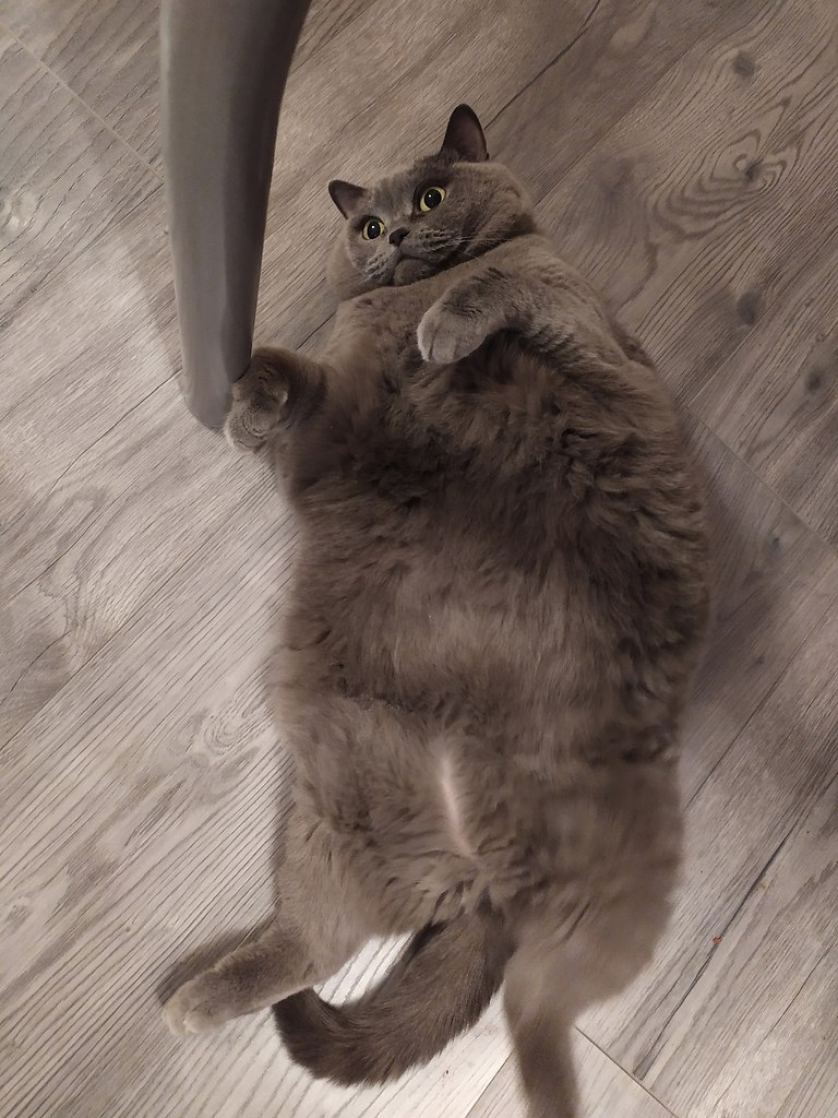   )