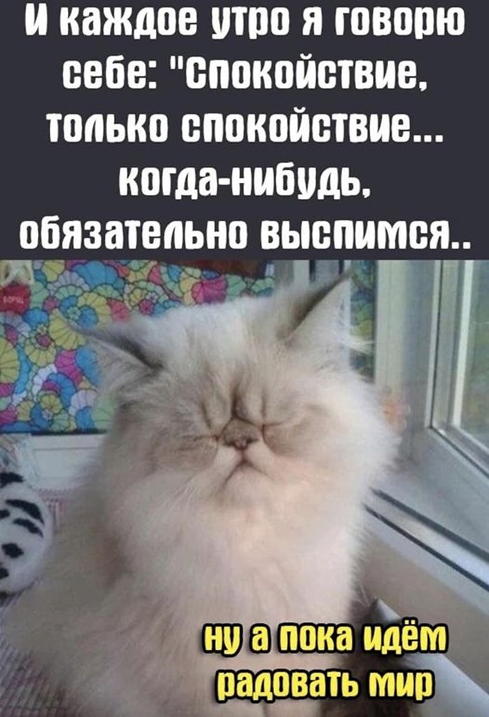   - 25  2022  10:32