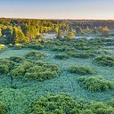  Petru, , 56  -  24  2022