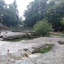  , -- -  29  2022   2021