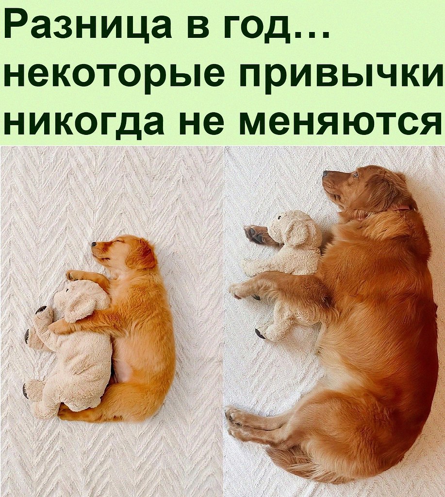   :D - 20  2022  11:20