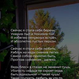 ���� �����, �����������, 41 ��� - ��������� 25 ������� 2022