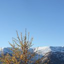 ���� ����, ������, 62 ���� - ��������� 4 ������� 2022 � ������ ������, ���� ������