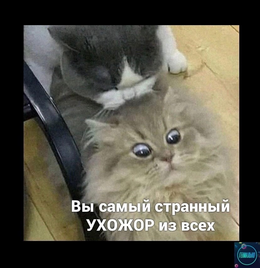 Ухожор