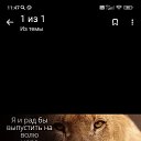 ���� �����, �����-���������, 55 ��� - ��������� 29 ������ 2022 � ������ ���� ����������