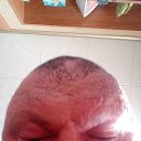 ���� ������, �������, 50 ��� - ��������� 26 �������� 2022 � ������ ���� ����������