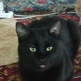 ���� Bahtiyorovna, �����, 26 ��� - ��������� 25 ������ 2023