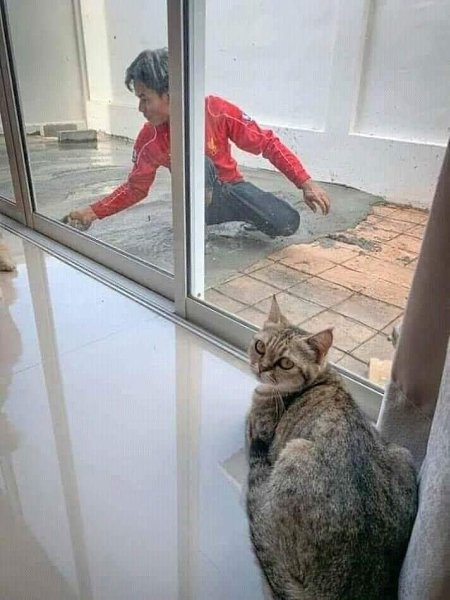   )