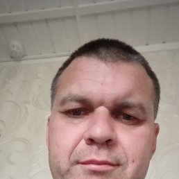 ���� �����, �����, 45 ��� - ��������� 8 ������� 2023