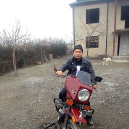 ����, ����, 44 ����