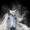 ���� �������, ������ - ��������� 10 ������ 2022 � ������ ���� ����������