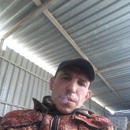 ���� �������, �����������, 39 ��� - ��������� 9 ������� 2023