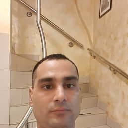  , , 41  -  28  2022