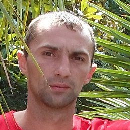 �������, �������, 39 ���