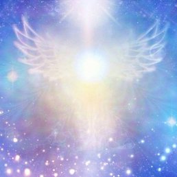 �����, �������, 61 ���