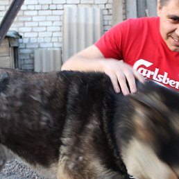 ���� ϸ��, ����������, 63 ���� - ��������� 9 ������� 2023