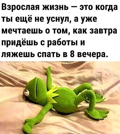   - 15  2022  20:17