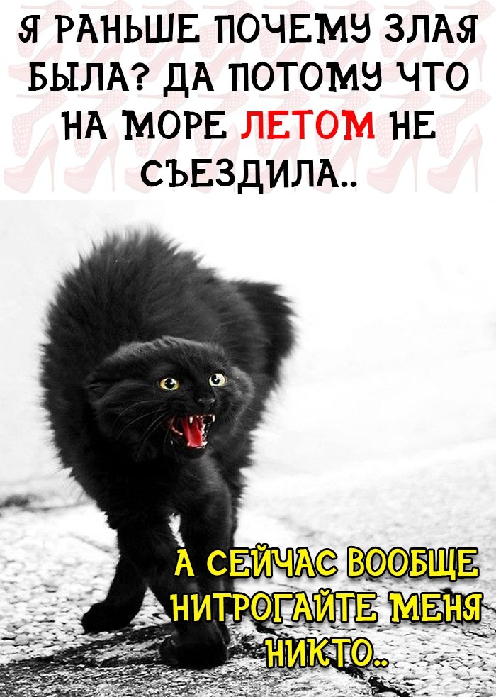   - 19  2022  20:59