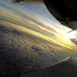 ���� Leksey, ������, 40 ��� - ��������� 7 ������� 2022