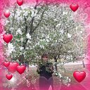���� ��������, ��������, 52 ���� - ��������� 26 ������ 2022 � ������ ���� ����������