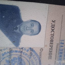 ���������, ������, 65 ���