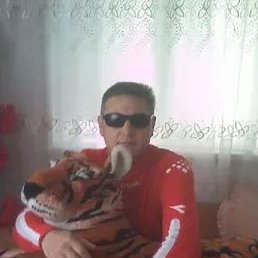 , , 50 