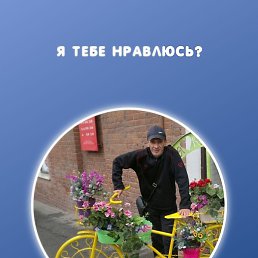 , , 44 