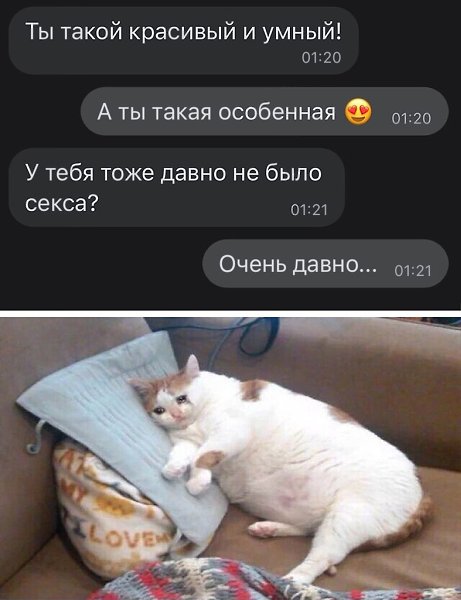 ☆ ☆ - 14  2023  09:36