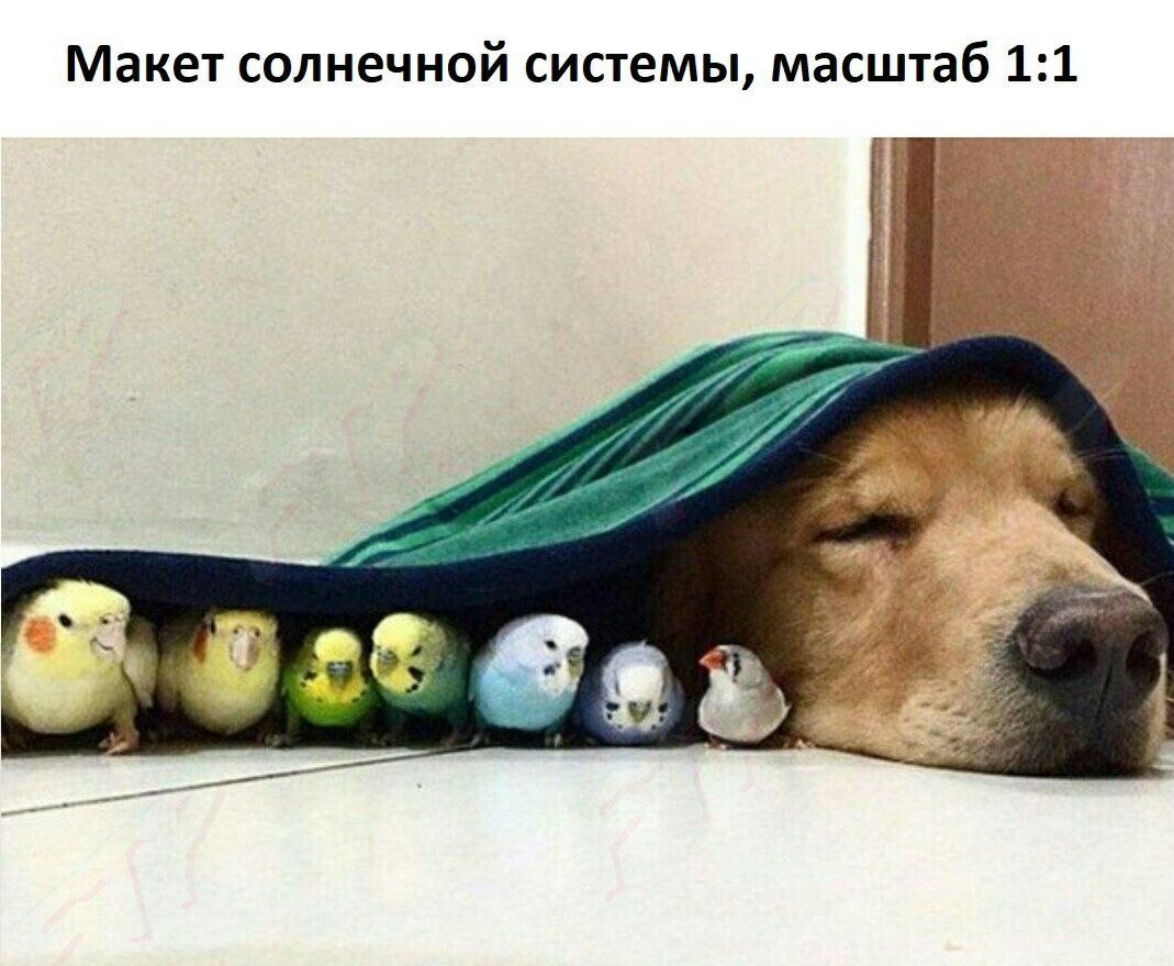    - 6  2022  22:33
