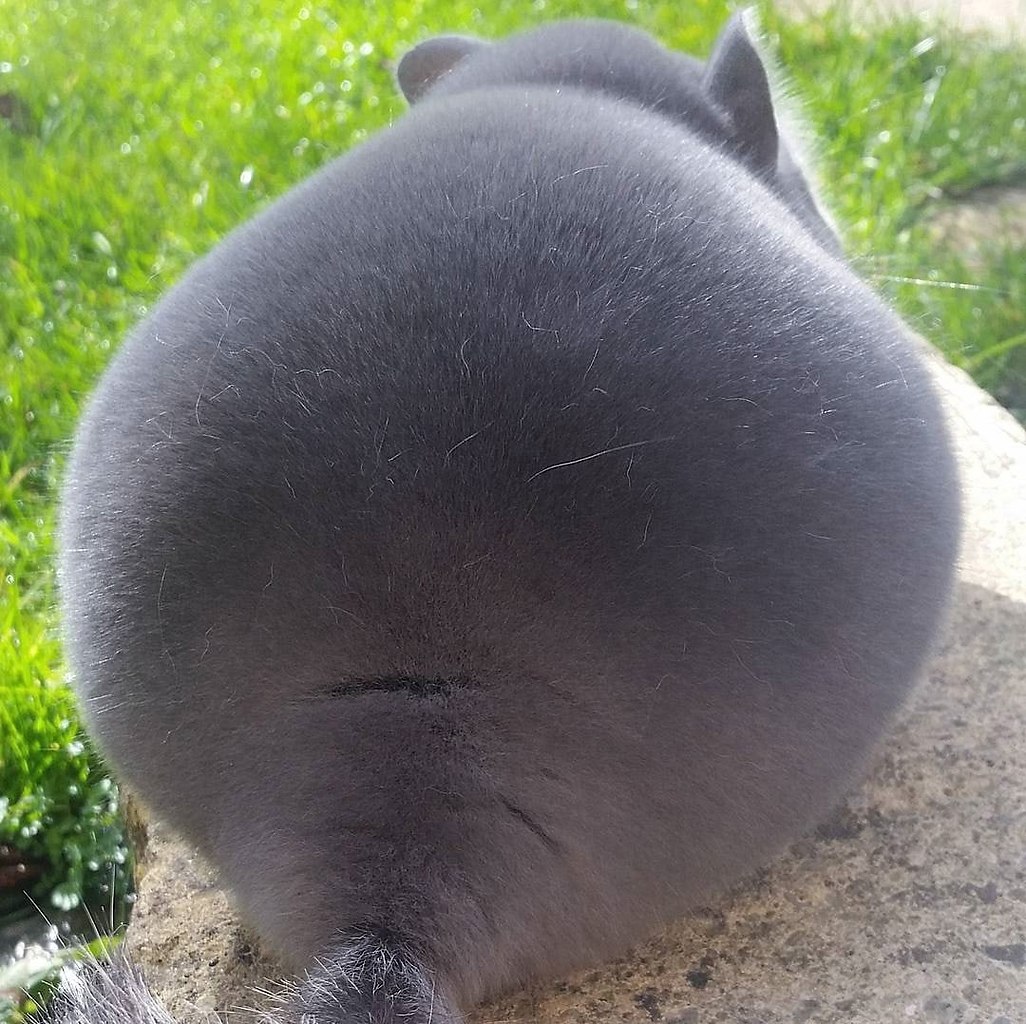    :) - 2
