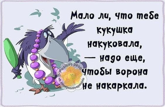   - 7  2022  20:40