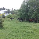  , -- -  29  2022   2021