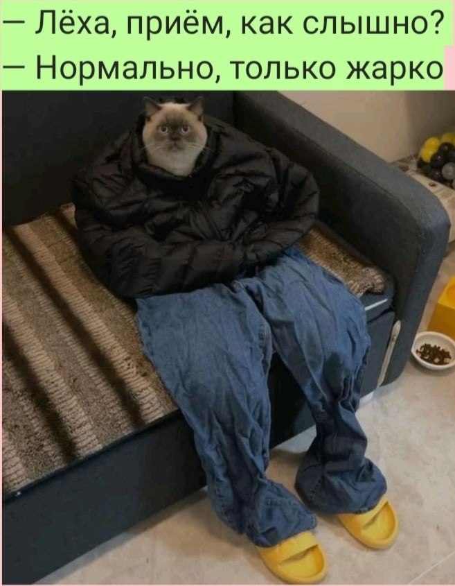   :D - 4  2022  08:18