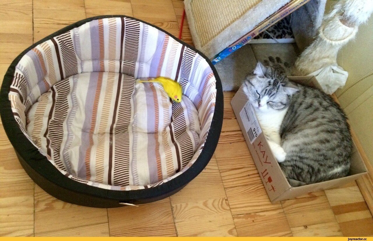   ,  ,  ! - 2