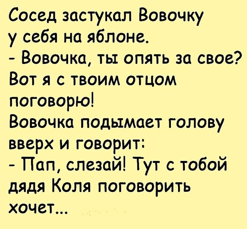 ☆ ☆ - 6  2022  23:38