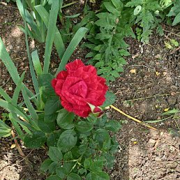 ���� ���������, ��������, 72 ���� - ��������� 17 ������� 2023