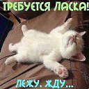 ���� Vladimir, ���������, 50 ��� - ��������� 11 �������� 2022 � ������ ���� �����������