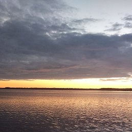 ������, �����, 49 ���