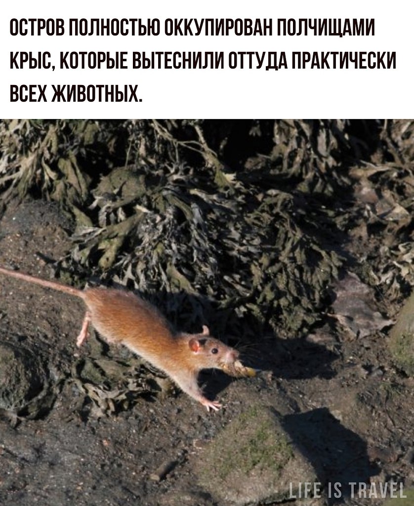 LIFE -  - 23  2022  02:07 - 2