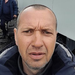 ,  , 48 