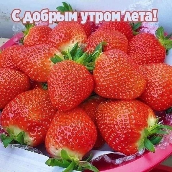 ��������� - 23 ���� 2022 � 21:00 - 3