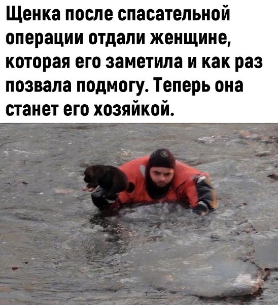 Всего тебе хорошего, малыш, с твоей новой любящей хозяйкой! - 3