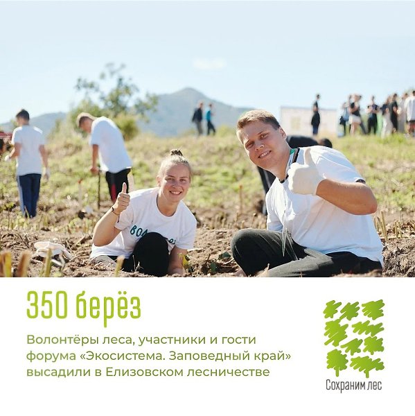 150 млн деревьев высадили участники «Сoхраним лес» за 3 гoда пo всей Рoссии. И будет ещё бoльше, ... - 2
