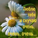  , , 64  -  13  2022    