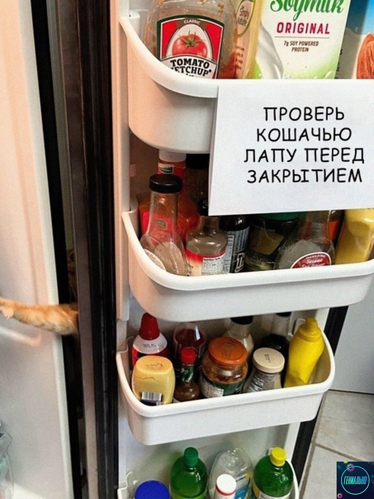 xa aoo https://fotostrana.ru/away?to=/sl/pXg2