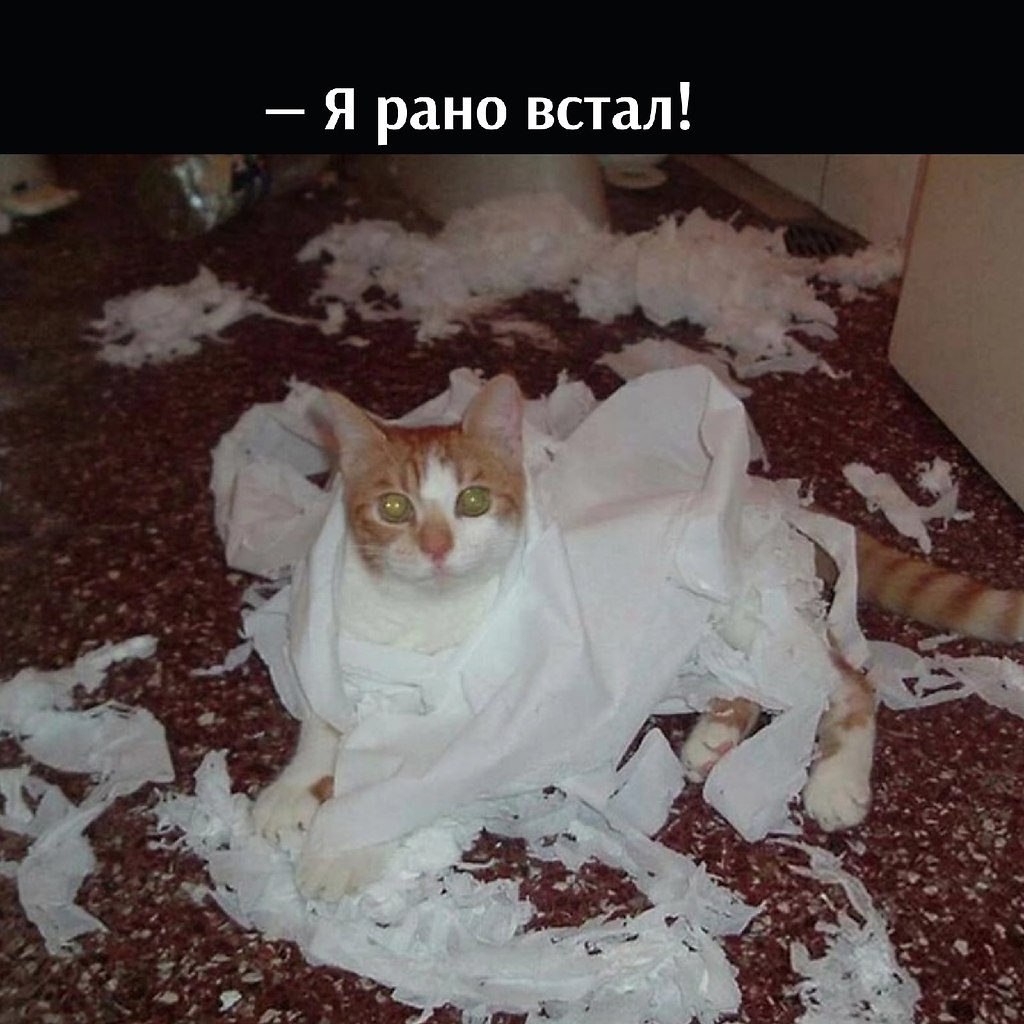         , ?! - 4
