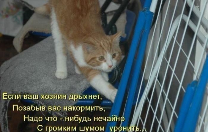    - 13  2022  02:33
