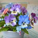 ���� V, ��������� - ��������� 8 ������� 2023 � ������ ���� ����������